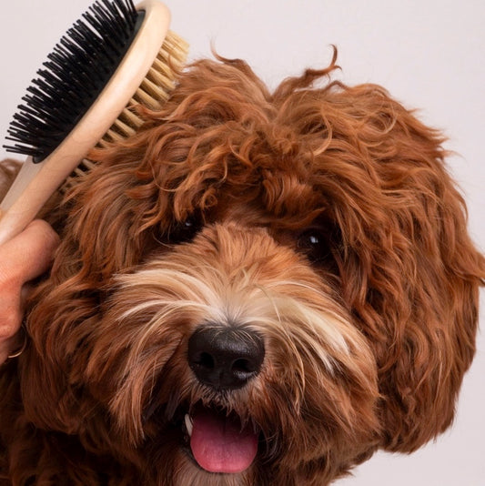 Bamboo Dual-Sided Brush