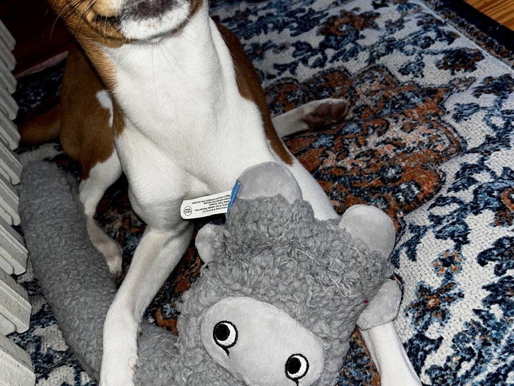 Anti-Stress Plush Toy with Essential Oils - Rosicchio