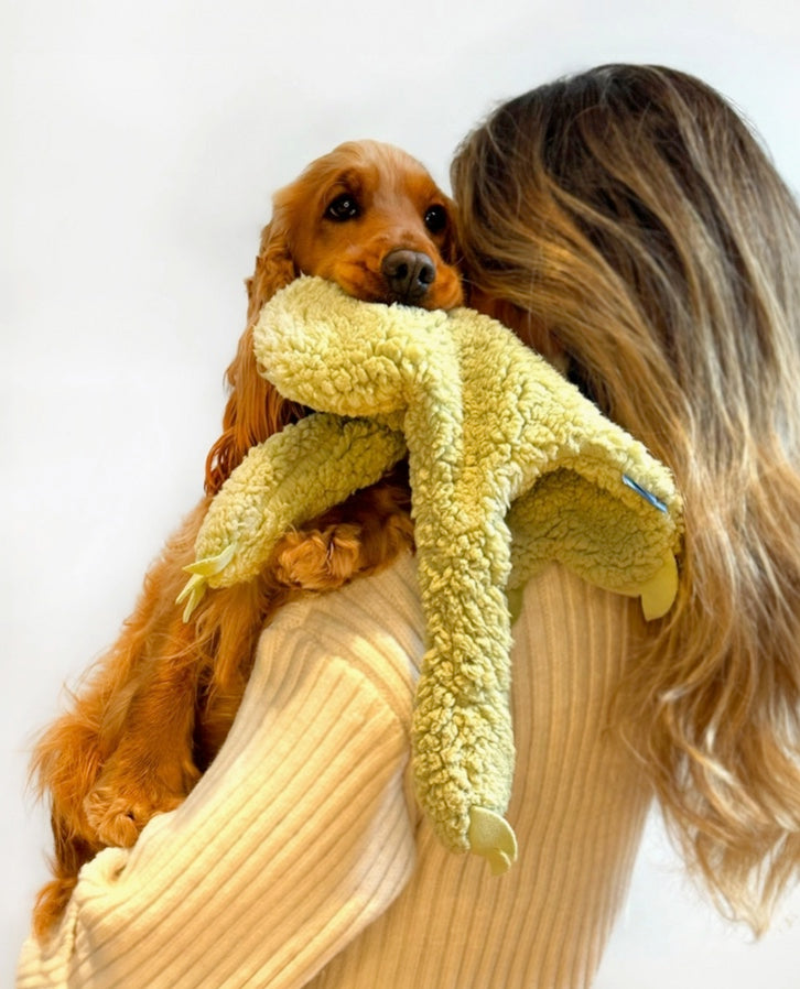 Anti-Stress Plush with Essential Oils - Musk