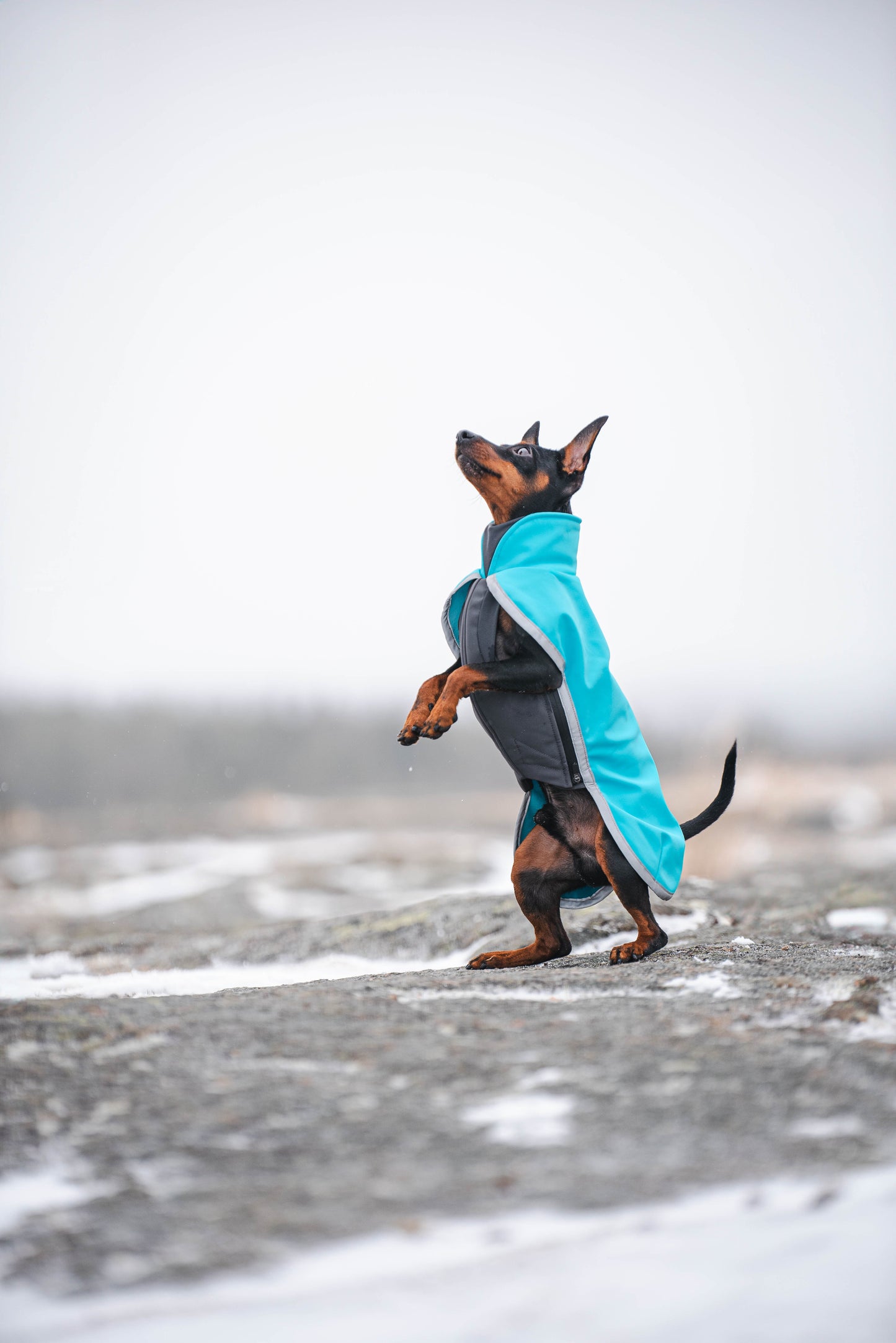 SporttiPomppa Artic