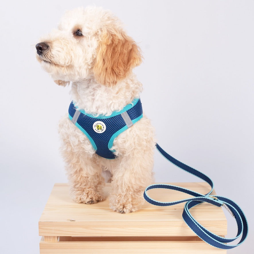 Navy And Aqua Small Dog Vest Harness