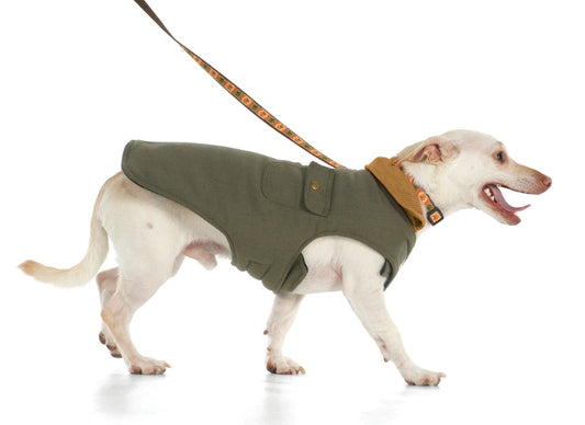 Chester Barn Coat