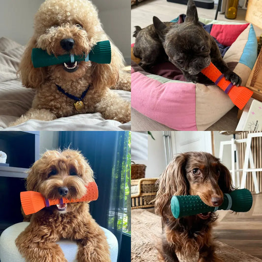Four images of dogs with colorful chew toys in various indoor settings.
