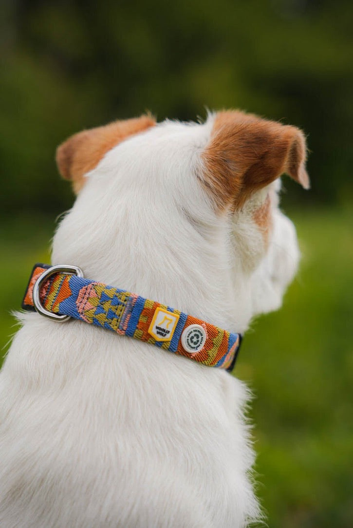 Woolly Wolf Collars
