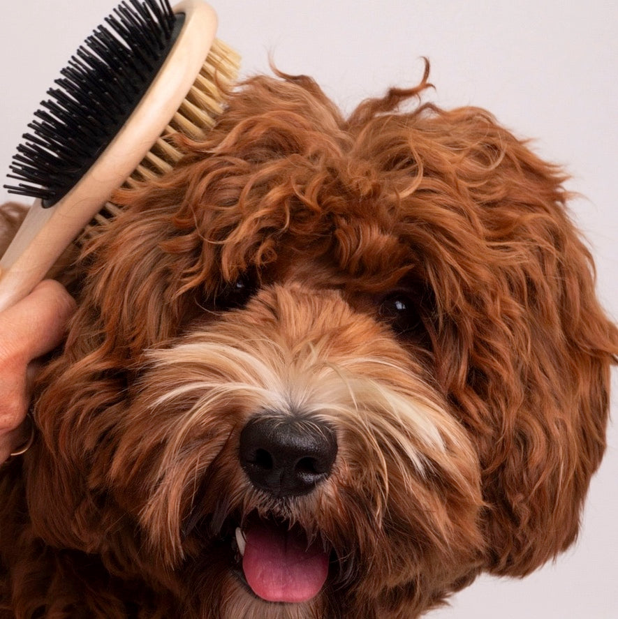 Bamboo Dual-Sided Brush