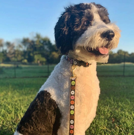 Donuts Dog Lead