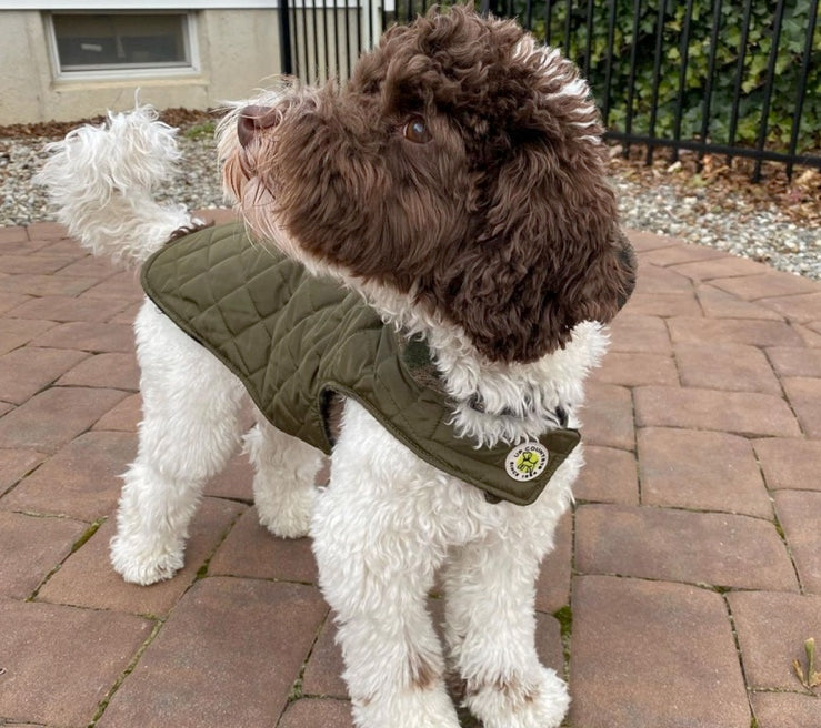 Pink/Lime Diamond Quilted Coat