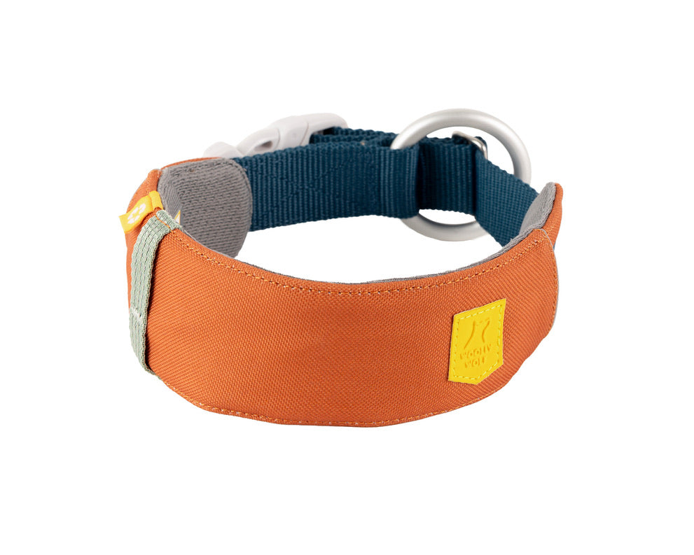 Alpha 360 Dog Collar Terracotta Mix
