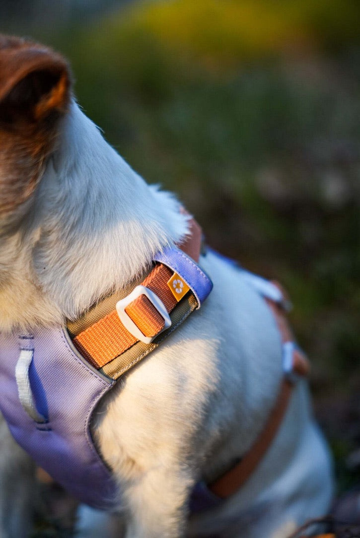 Alpha 360 Dog Harness - Lavendar Mix | Sustainable & "Easy-On" Design