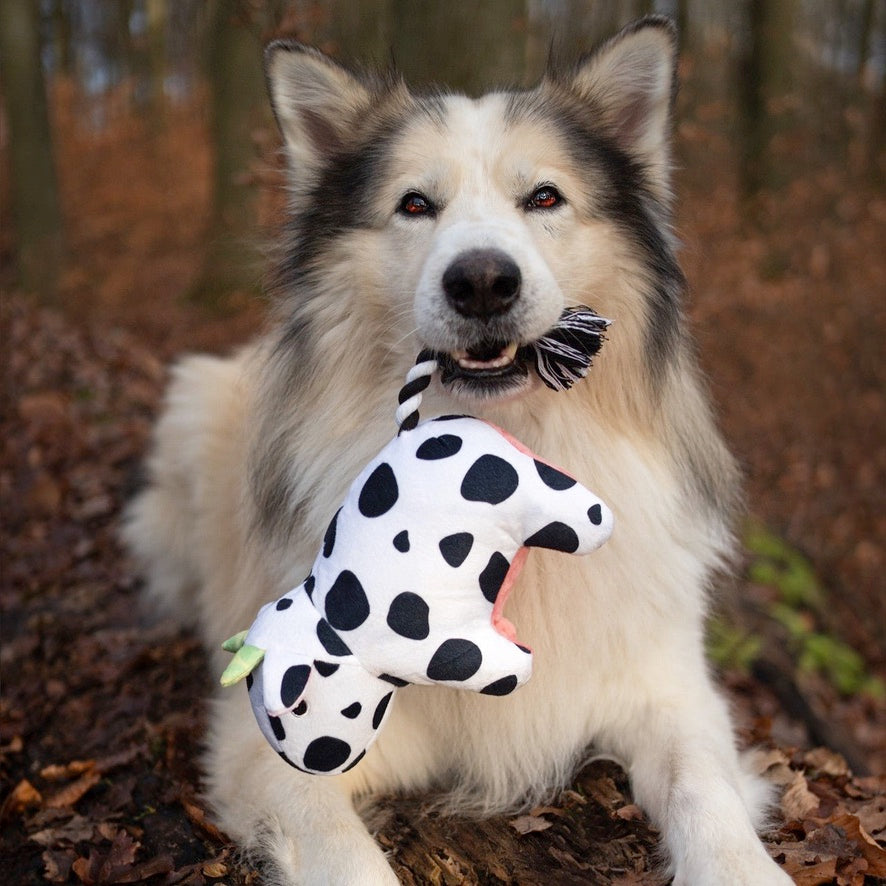 Cow Claire Squeaky & Tug Toy by Max & Molly