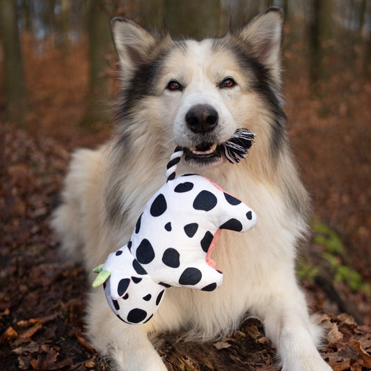 Cow Claire Squeaky & Tug Toy by Max & Molly