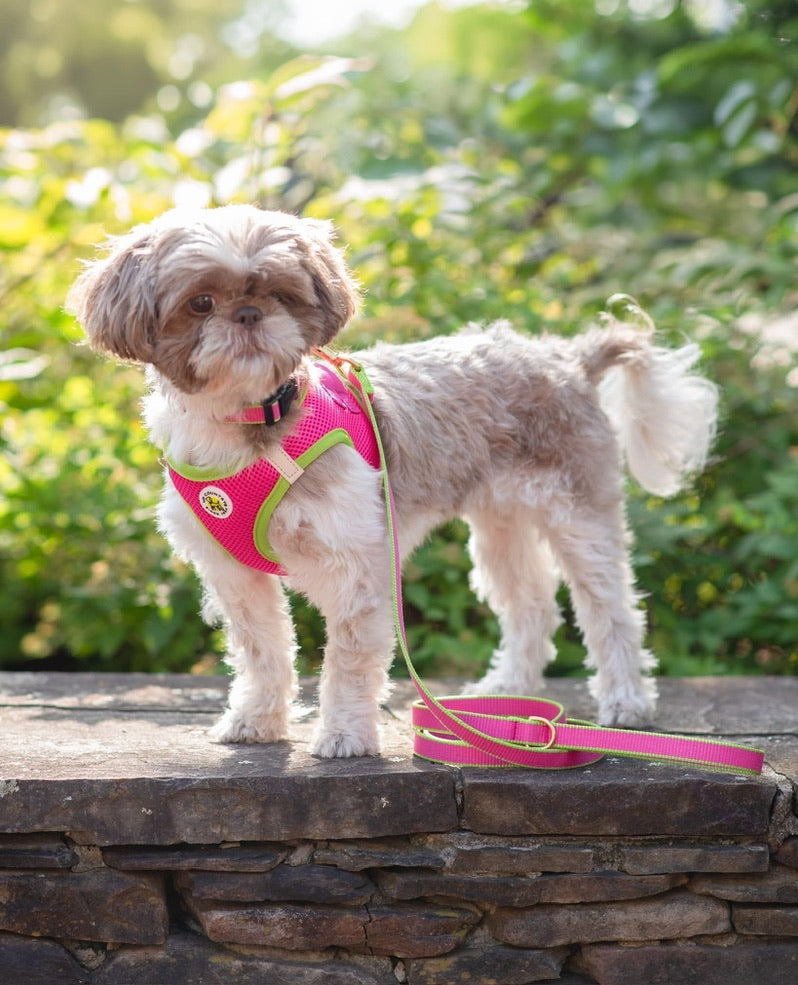 Pink and Lime Small Dog Vest Harness