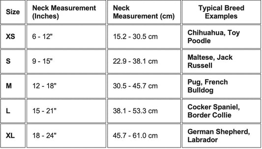 Blue Gingham Dog Collar