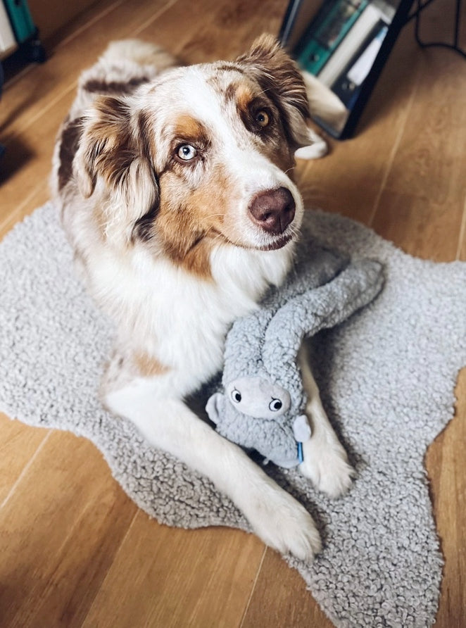 Anti-Stress Plush Toy with Essential Oils - Rosicchio