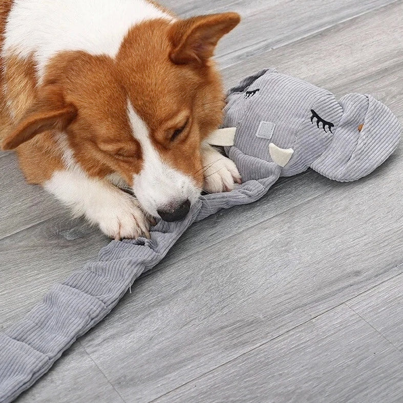 Sniffing Elephant by Trimmi