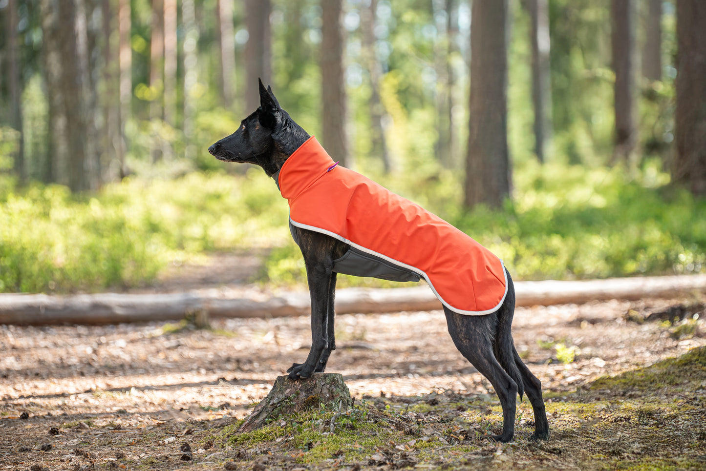 SporttiPomppa Habanero