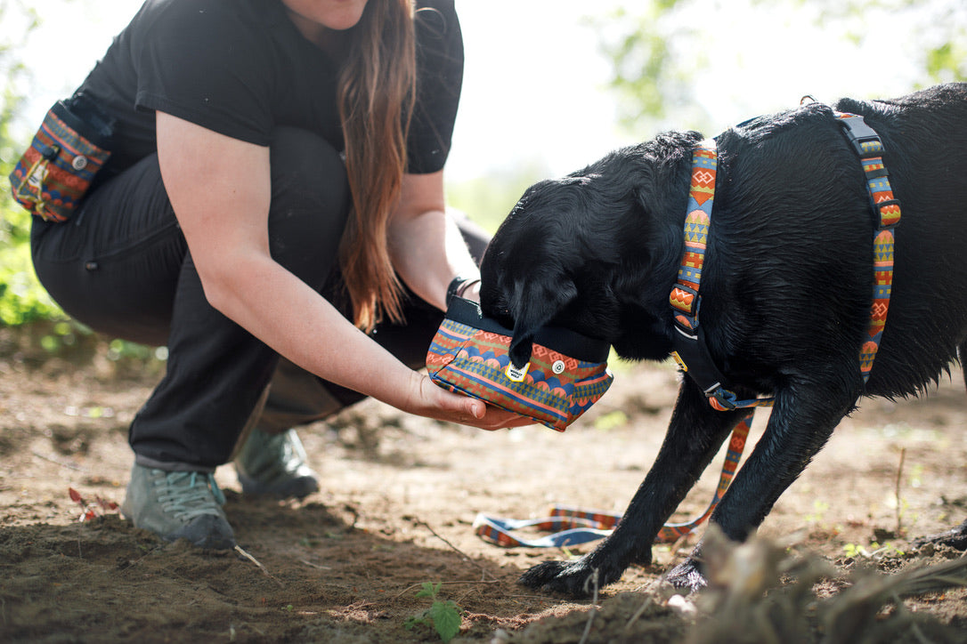 Nightless Night Dog Harness