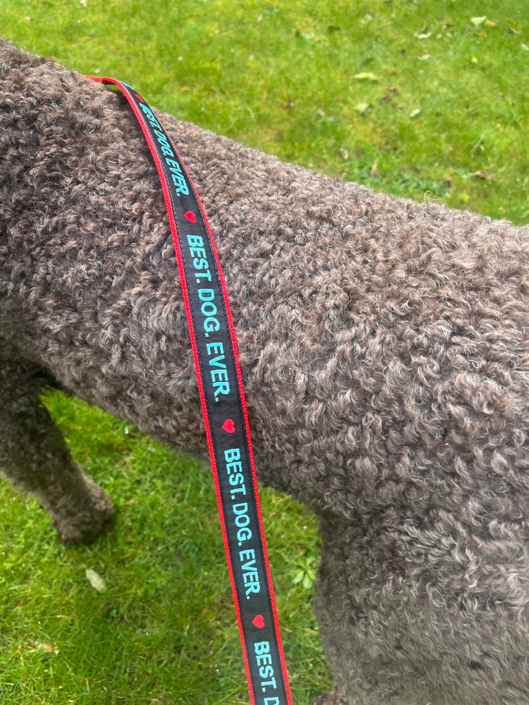 Best Dog Ever Dog Lead