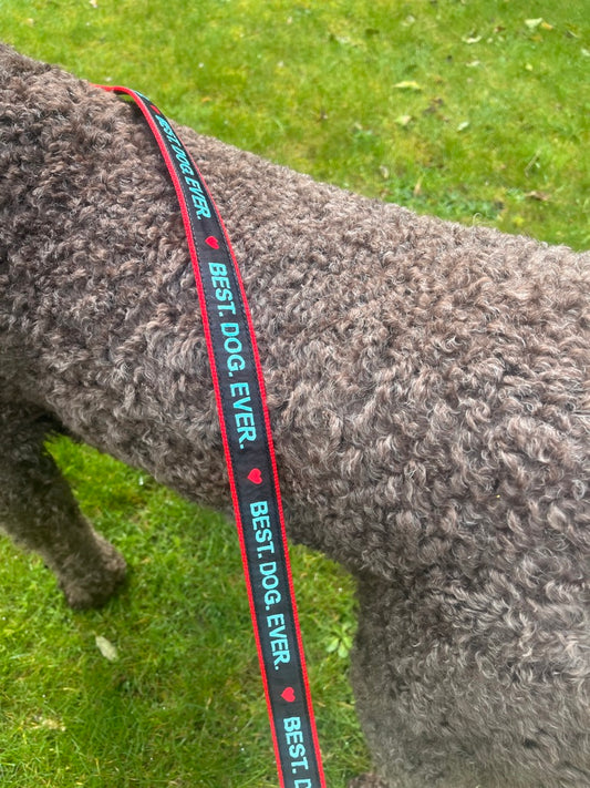 Best Dog Ever Dog Lead
