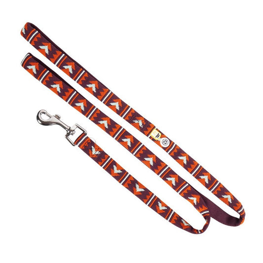Polar Night Dog Leash