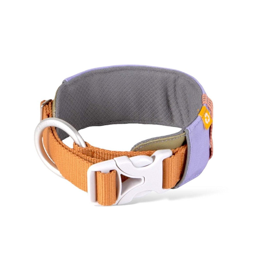 Alpha 360 Dog Collar Lavender