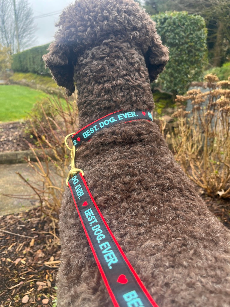 Best Dog Ever Dog Lead