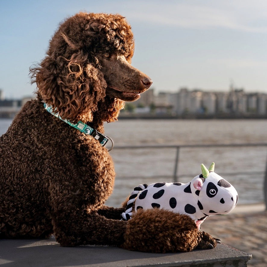 Cow Claire Squeaky & Tug Toy by Max & Molly