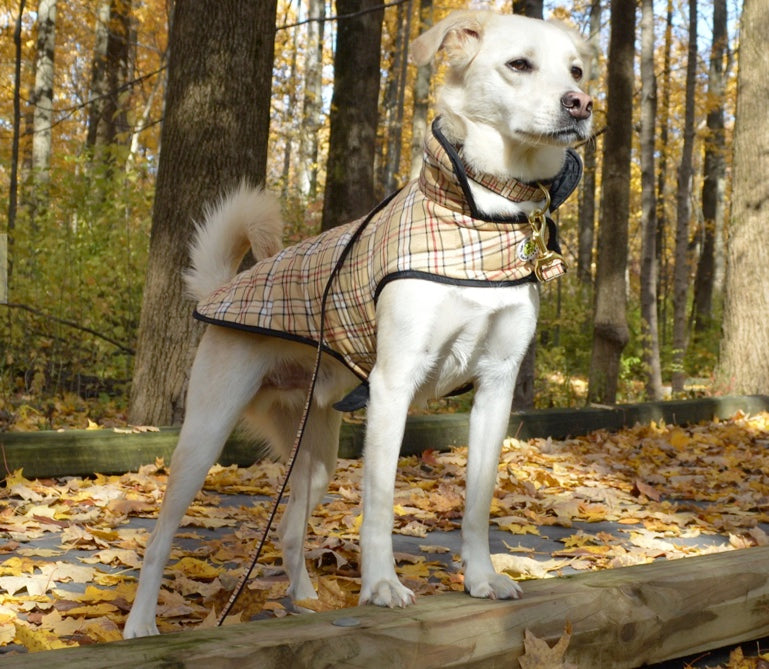 Plaid Diamond Quilted Coat