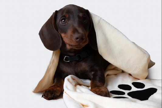 Microfiber Towel