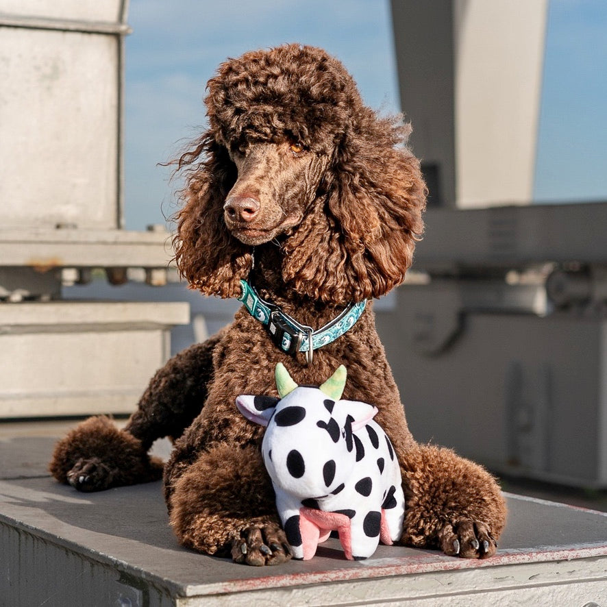 Cow Claire Squeaky & Tug Toy by Max & Molly