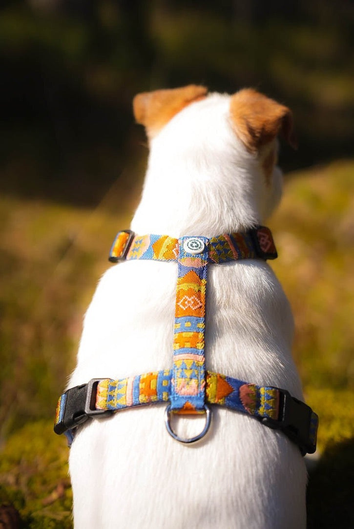 Nightless Night Dog Harness