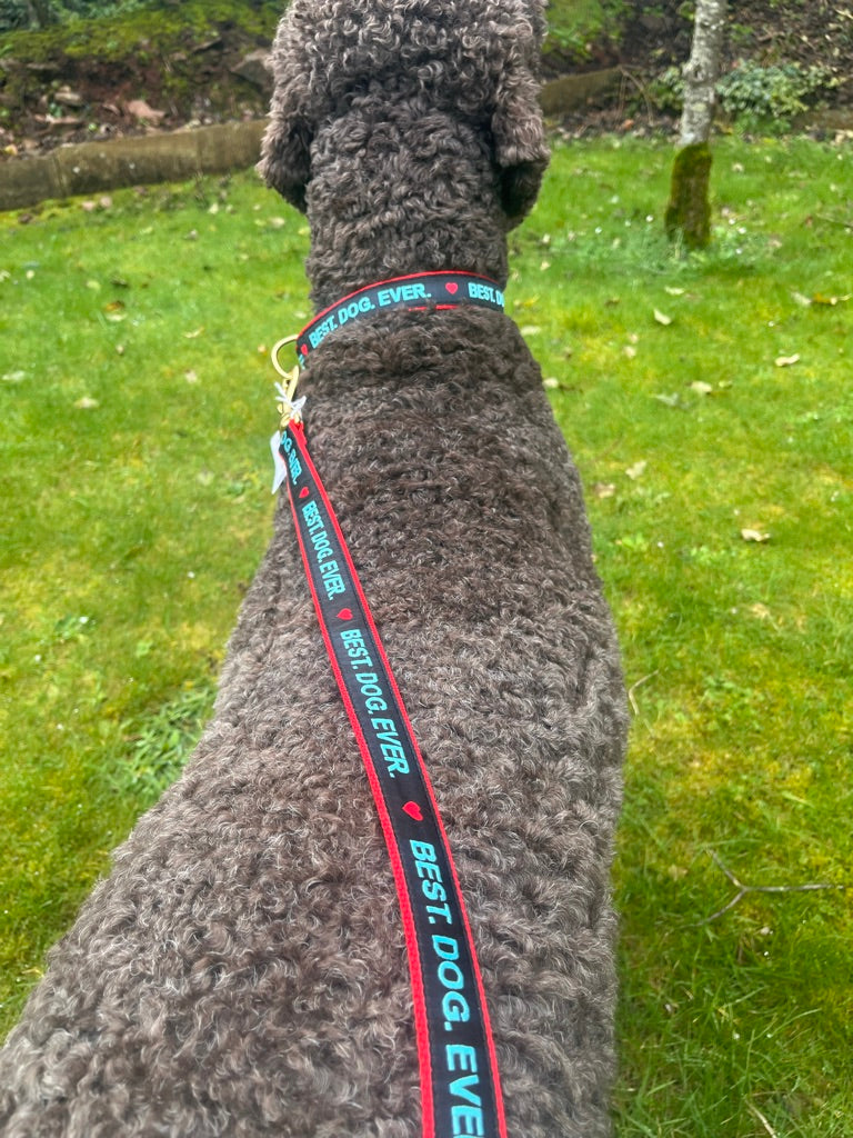 Best Dog Ever Dog Lead