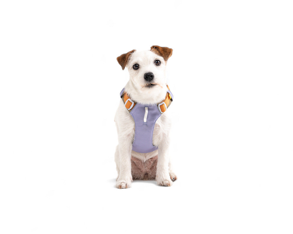 Alpha 360 Dog Harness - Lavendar Mix | Sustainable & "Easy-On" Design