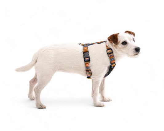 Nightless Night Dog Harness