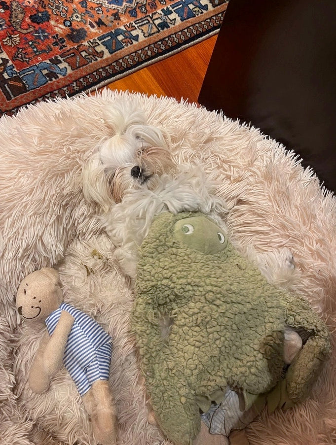 Anti-Stress Plush with Essential Oils - Musk