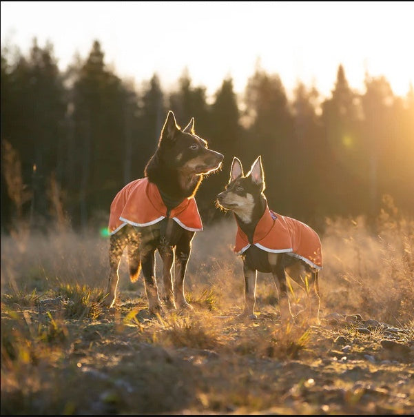 SporttiPomppa Habanero