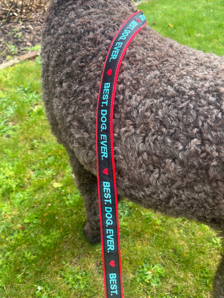 Best Dog Ever Dog Lead