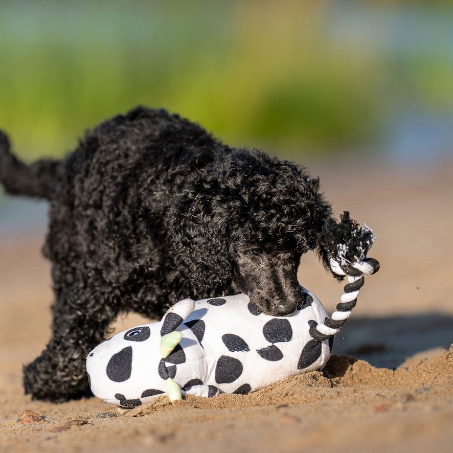 Cow Claire Squeaky & Tug Toy by Max & Molly