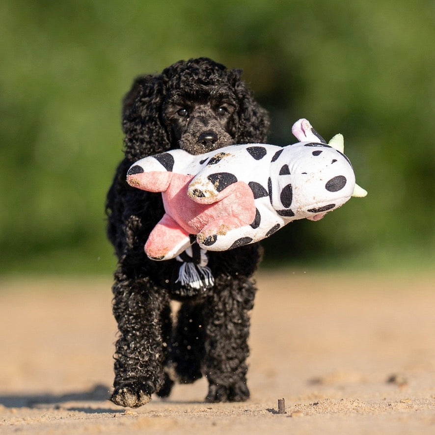 Cow Claire Squeaky & Tug Toy by Max & Molly