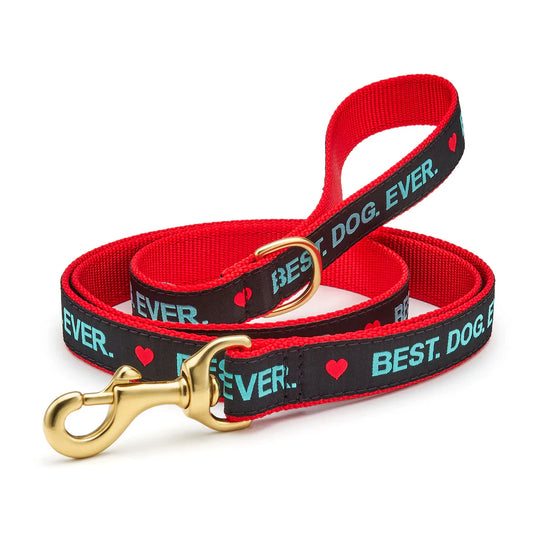 Best Dog Ever Dog Lead