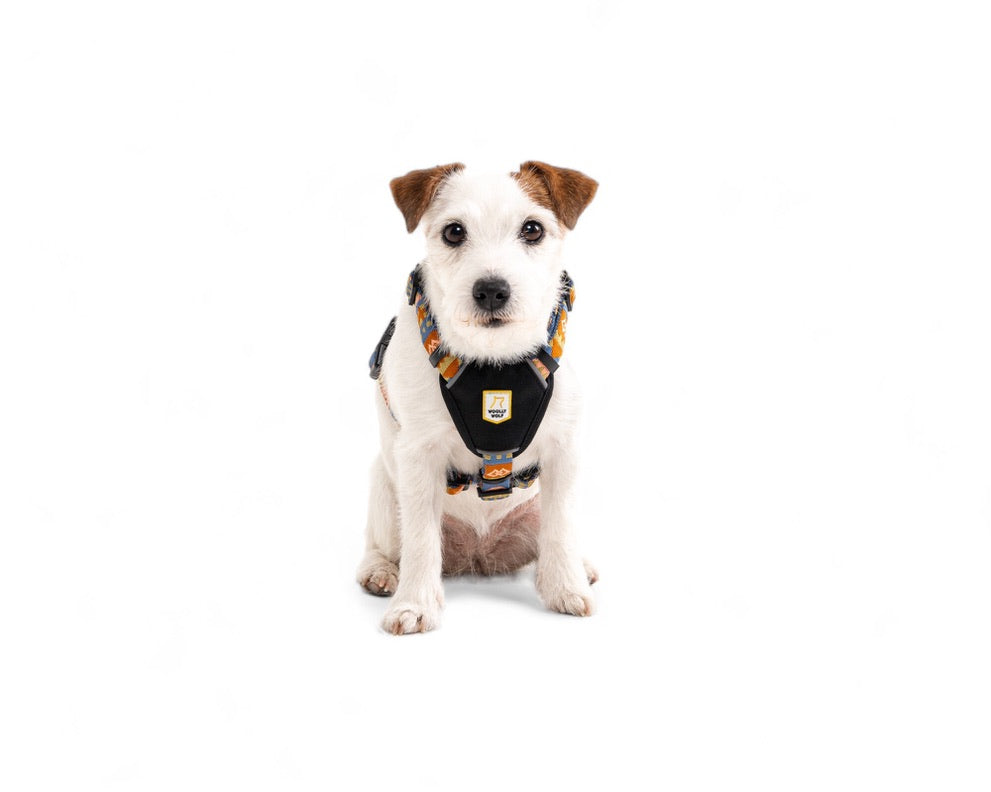 Nightless Night Dog Harness