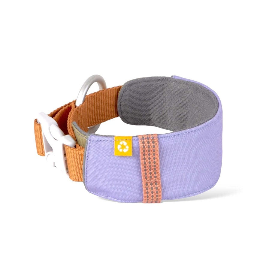 Alpha 360 Dog Collar Lavender