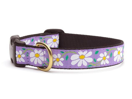 Up Country Daisy Dog Collar - Handmade USA Boutique Style - Canine Curiosity Store Cork