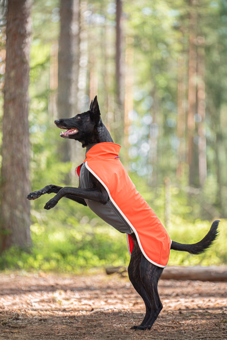 SporttiPomppa Habanero