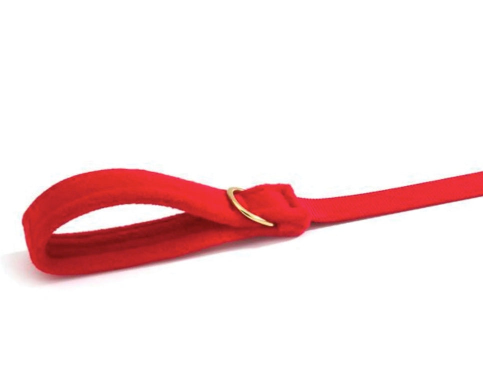 Red dog leash with a gold brass clip on a white background