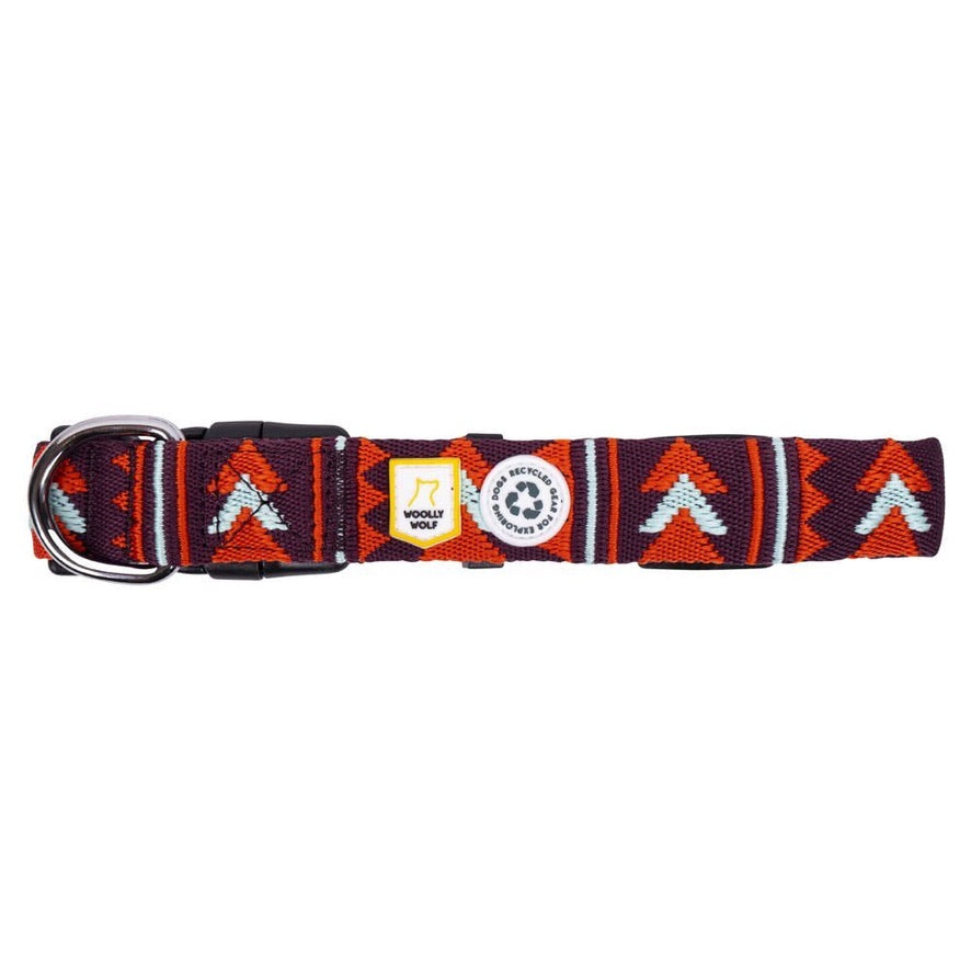 Polar Night Dog Collar