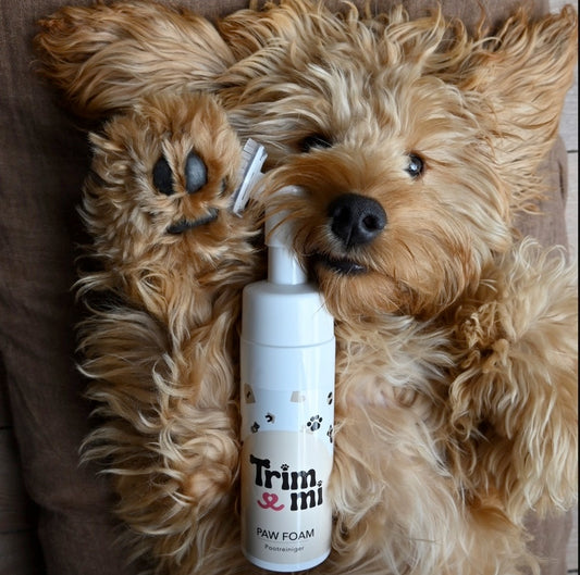 Paw Foam - Paw Cleaner