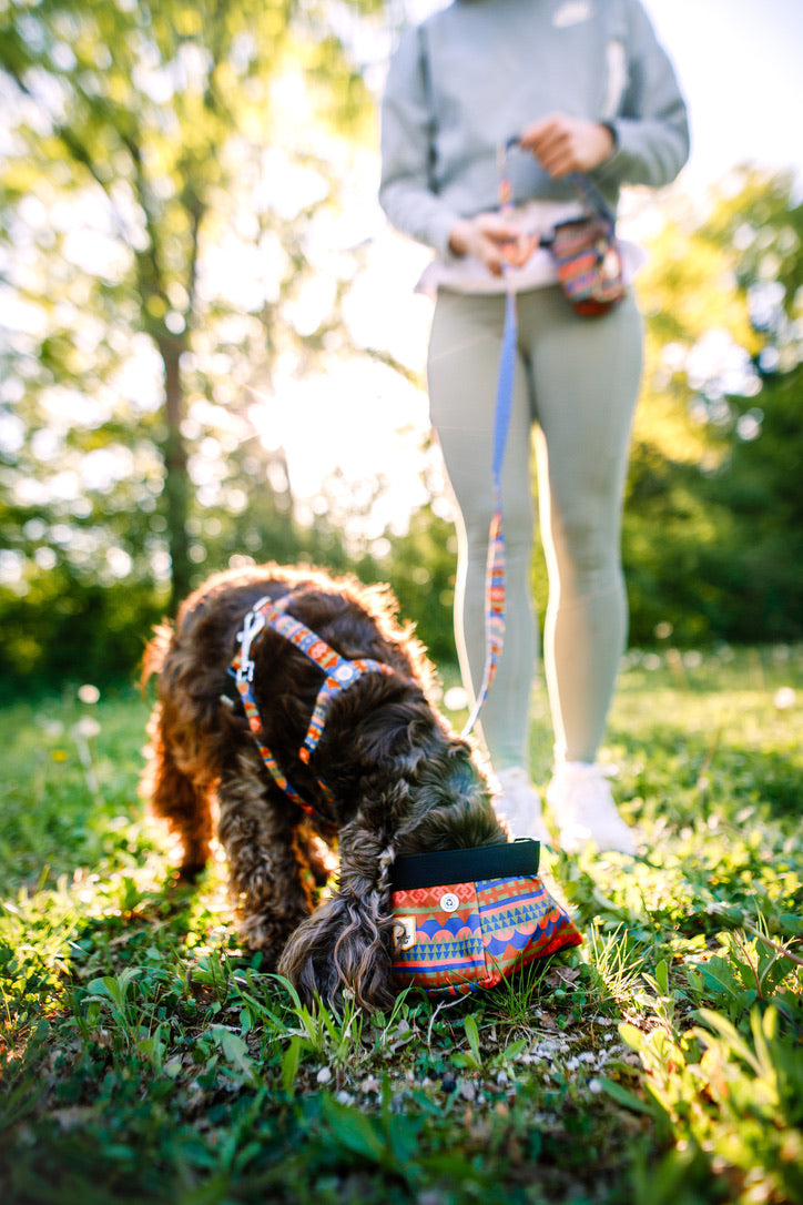 Nightless Night Dog Harness