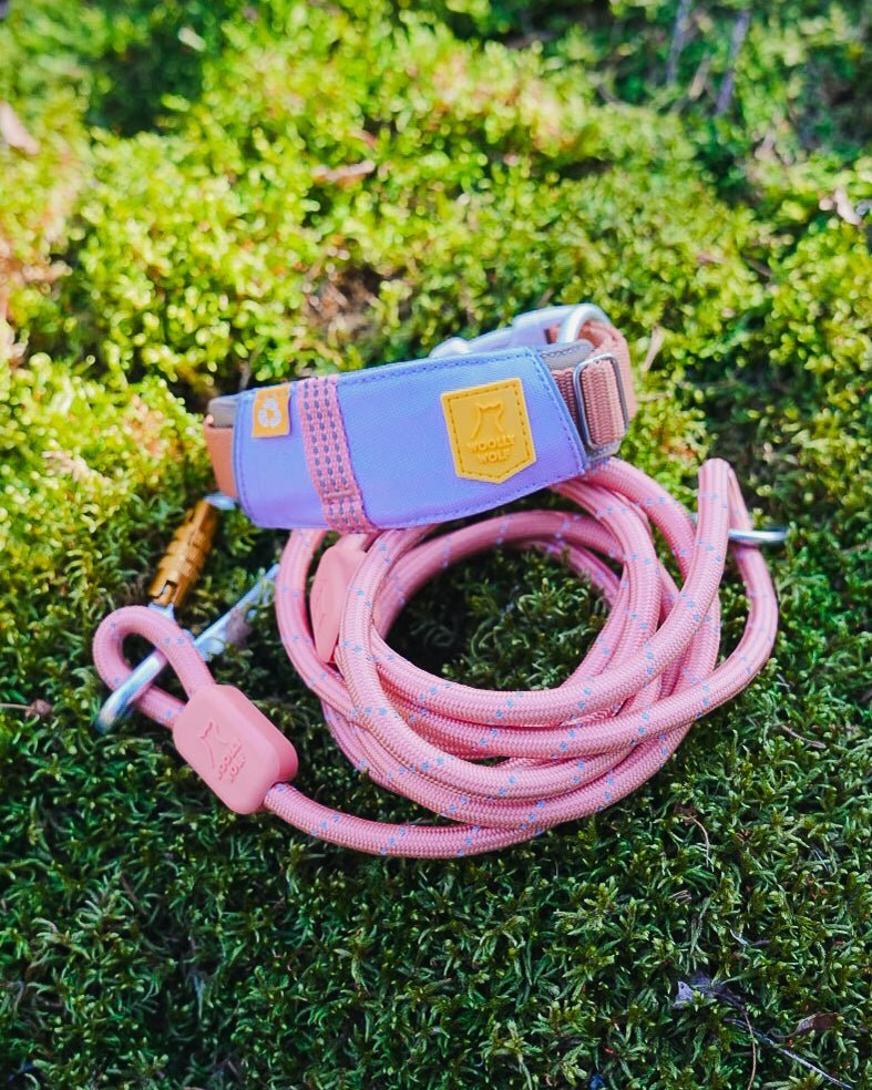 Alpha 360 Dog Collar Lavender