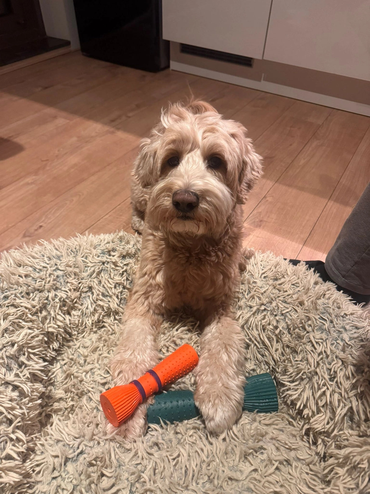 Furmey Zoomie Dog Toy